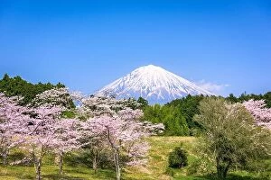 Images Dated 14th April 2017: Mt. Fuji viewed from rural Shizuoka Prefecture in spring season