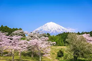 Mt. Fuji viewed from rural Shizuoka Prefecture in spring season