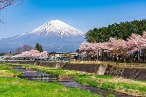 Mt. Fuji viewed from rural Shizuoka Prefecture in spring season with cherry blossoms