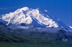 Boreal Prints: Mt Mc Kinley, Denali National Park and Preserve