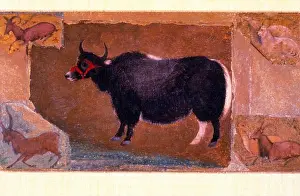 Watercolor Flowers Prints: Mughal painting, Tibetan Yak By Abu'l Hasan Nadir al Zaman