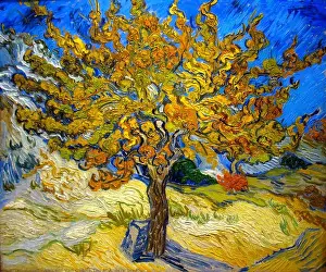 High Resolution Prints: The Mulberry Tree painting by Vincent van Gogh - Very high resolution and quality image