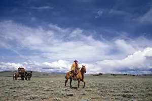 Wyoming Prints: MULE-DRIVEN WAGON TRIP NEAR THE OREGON TRAIL. SOUTH PASS CITY, WYOMING. SUMMER
