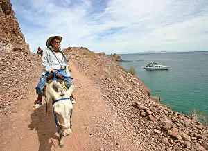 Mules Prints: Mule ride through canyons of the Sierra de la Giganta (Mountains of the Giantess), Mexico