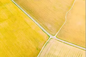 Multicolored Clusters Of Agricultural Fields Sown With Different Crops. Aerial View. Beginning Of Agricultural Spring Season. Countryside Rural Fields