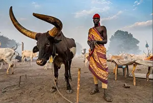 1 Person Only Prints: Mundari man with a Kalashnikov posing with a bull with giant horns