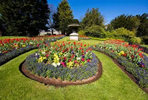 Bedding Prints: Municipal gardens with flower beds of tulips and annual bedding plants near Royal Crescent in Bath Somerset UK