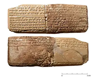 Tablets Prints: myxrtc