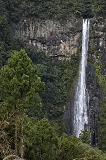 Honshu Prints: Nachi Falls ? the tallest waterfall in Japan with single uninterrupted drop