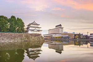 Nagoya, Japan castle moat at twilight