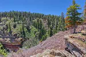 Outdoor Activities Prints: Naji Ravine just south of Naji Point on the North Rim of Grand Canyon National Park