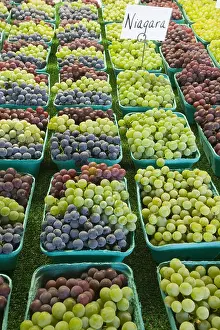 Tasting Prints: Naples New York grapes for sale Josephs Wayside Market grape pie capitol Finger Lakes