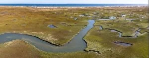 Aerial Landscape Collection: Narrow channels meander through a salt marsh in Pleasant Bay, Cape Cod, Massachusetts