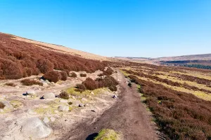 Peak District Prints: A narrow, rock strewn footpath winds gently down hill on Derwent Moor in the Derbyshire Peak District