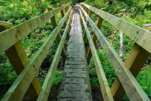 Railings Prints: A Narrow Wood Footbridge on a Hiking Trail Near Squak Mountain, Washington, USA