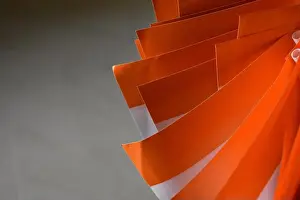 Nationalism Prints: National Flag of India