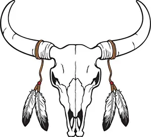 Bovine Prints: Native American bull or cow skull with feathers (vector illustration)
