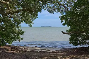 Natural Preserve Prints: A natural frame of dense foliage frames a view of the sea