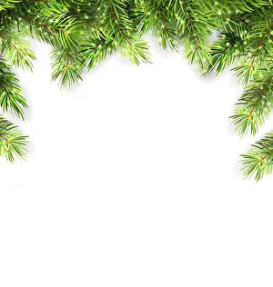 Coniferous Prints: Natural Framework with Fir Twigs