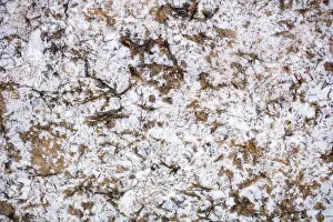 Granite Rock Prints: Natural stone texture, BIANCO ANTICO granite slab, milky color with dark brown additions