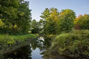 Nature landscape view of a mountain river in a coniferous forest