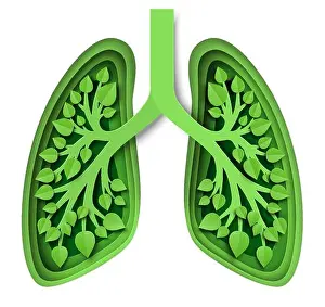 Respiratory Prints: Nature lungs with leaves, vector illustration in paper art style