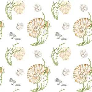 Seagrass Prints: Nautilus clam shell and green algae from the underwater world of the ocean
