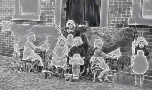 Posed Prints: Negative - Casterton, Victoria
