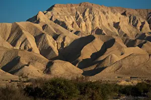 Oasis Prints: Negev Desert, Wadi Zin, Wilderness of Zin, Israel
