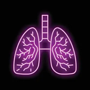 Vibrant Color Prints: Neon sign representing human lungs glowing purple on black background