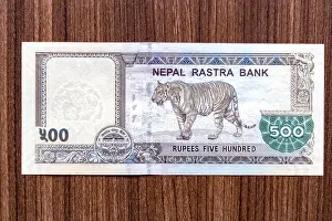 Nepalese Prints: Nepali bank note or Nepali currency of Rupees 500 denomination top down view