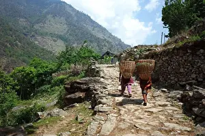 Everest Prints: Nepali women carrying baskets in traditional way in Himalayas