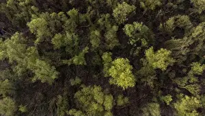 Wet Land Prints: The Netherlands, Dordrecht on 2022-04-12
