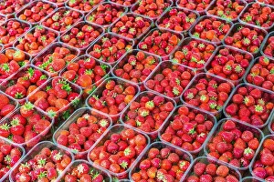 South Holland Prints: Netherlands South Holland Rotterdam Binnenrotte country's largest market strawberries country