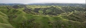 Aerial Landscape Collection: New green grass covers the scenic, rolling hills and valleys of the tri-valley area of Northern