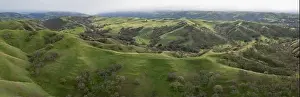 Wineries Prints: New green grass covers the scenic