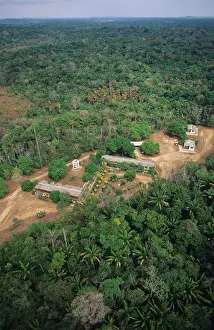 Amazon Prints: New urban development in what was previously primary rainforest habitat