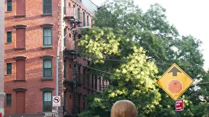 Townhouse Prints: New York City classic building architecture