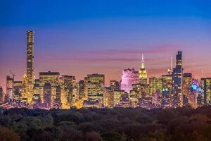 Trees Collection: New York, New York midtown Manhattan cityscape over Central Park at twilight