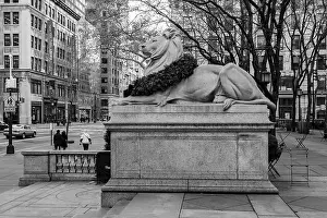 Big Apple Prints: New York Public Library, 5th Ave, New York