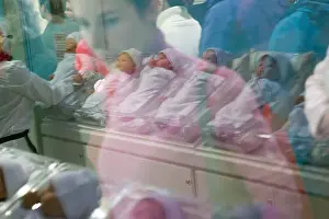 Infants Prints: Newborn dolls stand on display at the maternity inside the FAO Schwarz toy store on 5th Avenue in New York City NY USA