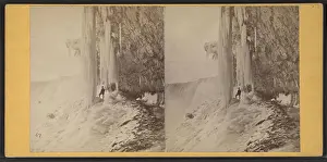 Wonderland Prints: Niagara Falls, under Table Rock
