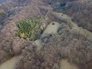 nice aerial drone image of the Vienna Woods in January in the afternoon