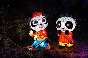 French Riviera Prints: Nice, France, Jan. 5, 2020 – Colorful Chinese lanterns showing at “Baie des lumieres” festival at Parc Phoenix