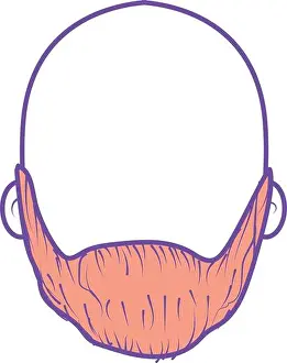 Bald Prints: nice man face with beard and bald