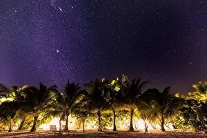 Images Dated 15th January 2017: Night shot with palm trees and milky way in background, tropical warm night