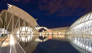 Reflected Prints: Night view of the City of Arts and Sciences