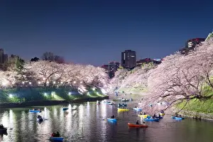 Night view of massive cherry blossoming with Tokyo city as background. Photoed at Chidorigafuchi, Tokyo, Japan