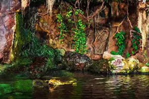 Caiman Prints: The Nile crocodile climbed out of the water