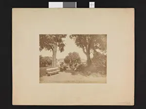 Oslo Prints: No. 424. Den botaniske Have ved Kristiania no nb digifoto 20160311 00129 bldsa fFA00022